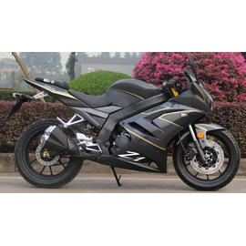 Мотоцикл SHINERAY Z1 250 (Чорний), image 