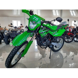 Мотоцикл SHINERAY XY200GY-11B LIGHT ENDURO (Зелений), Цвет: Зелений, image 