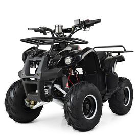 Підлітковий електроквадрік Profi HB-EATV1000D-2 (MP3) Чорний, image 