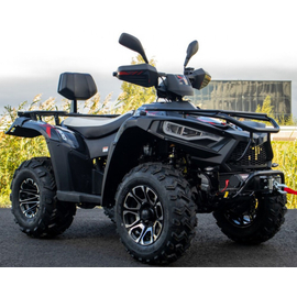 Linhai LH300ATV-3D Promax (4X4) Сірий, image 