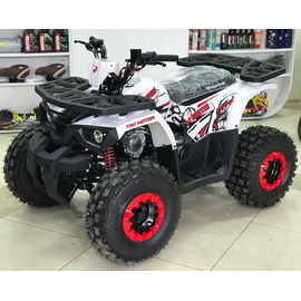 Forte Hunter 125 (червоні вставки), image 