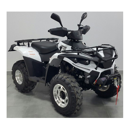 Linhai LH300-3D 4х4, image 