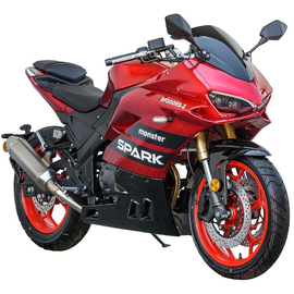 Мотоцикл Spark SP300RS-2 Красный, фото 