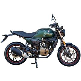 Мотоцикл Spark SP250SC-1 Зеленый, фото 