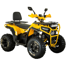 Квадроцикл Spark SP200-5Е Желтый, фото 