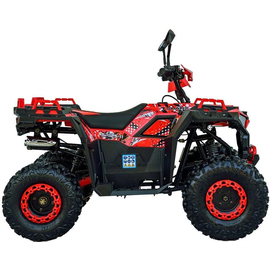 Квадроцикл Spark SP125-11 Красный, фото 