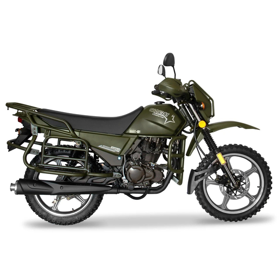 Мотоцикл SHINERAY XY 200 INTRUDER (Зелёный), Цвет: Зеленый, фото , изображение 2