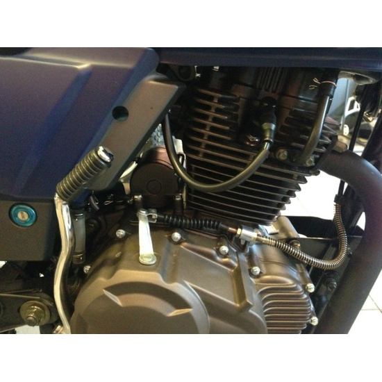 Мотоцикл SHINERAY XY 200 INTRUDER (Зелёный), Цвет: Зеленый, фото , изображение 13