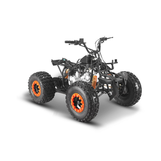 Квадроцикл Comman TaoTao Scrambler 125cc Графити, Цвет: Графити, фото , изображение 18