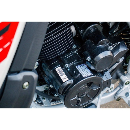 Мотоцикл Loncin LX250GY-3G DS2 (Rally) Черный, фото , изображение 14