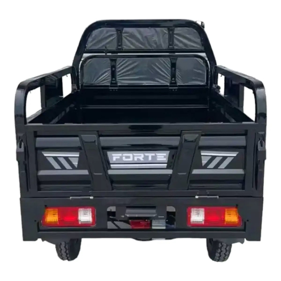 Грузовой электрический трицикл Forte JH-1200 черный, Цвет: Чёрный, Посадочных мест: 1, фото , изображение 8