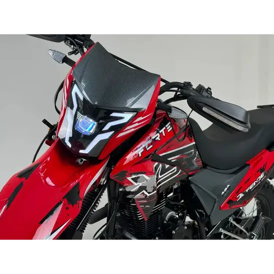 Мотоцикл FORTE CROSS 300 Красный, фото , изображение 15
