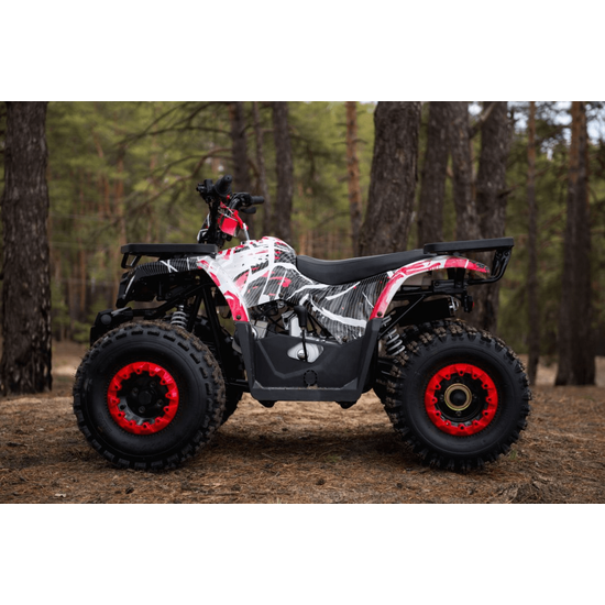 Comman TaoTao Scrambler 150cc Графіті, image , зображення 23