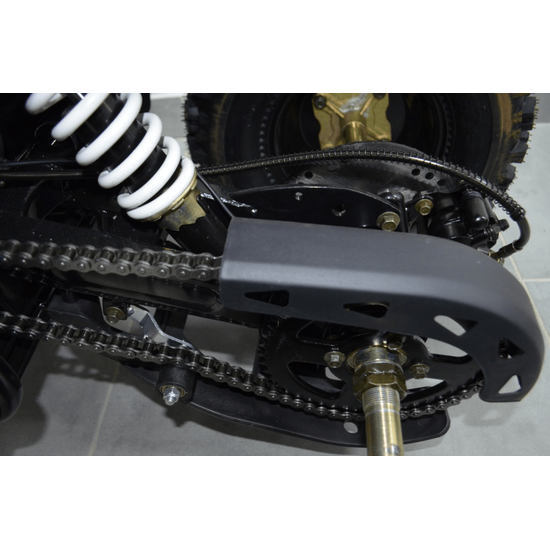 Comman TaoTao Scrambler 150cc Графіті, image , зображення 37