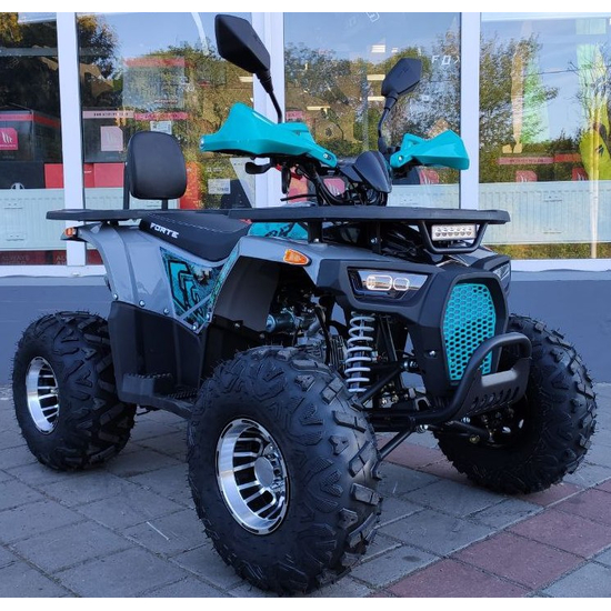 Forte ATV125P Cіро-блакитний, image , зображення 22
