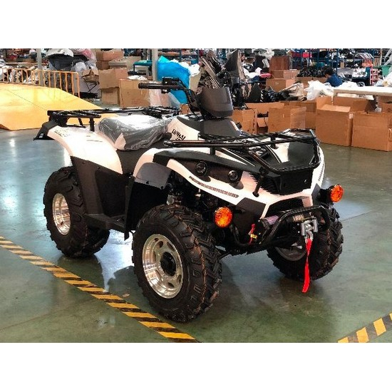 Linhai LH300-3D 4х4, image , зображення 18