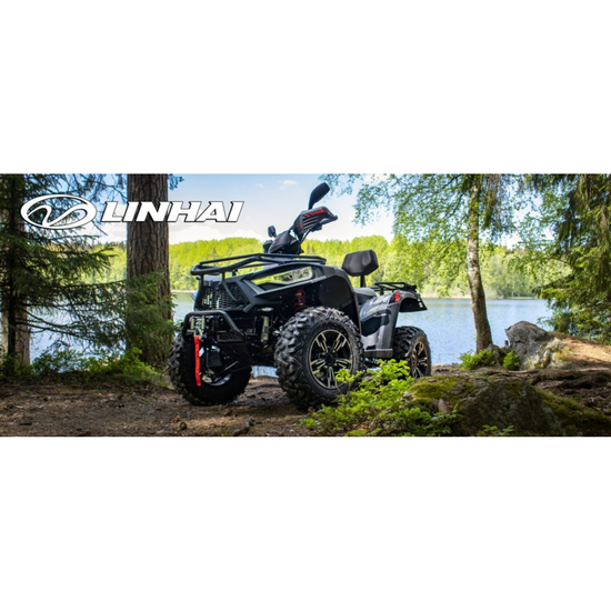 Linhai LH300-D EFI ProMax (4X4) Сірий, image , зображення 8