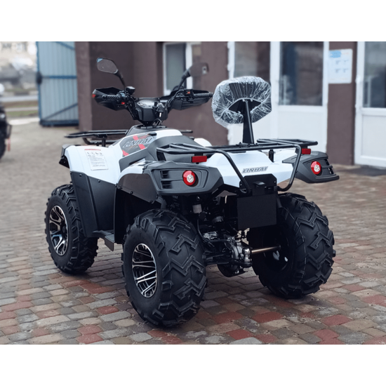Linhai LH300ATV-3D Promax (4X4) Білий, image , зображення 6