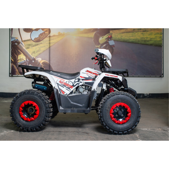 Forte Hunter 125 (червоні вставки), image , зображення 2