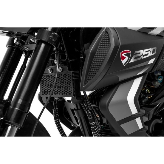 Мотоцикл Spark SP250R-33 2026 Чорний, image , зображення 12