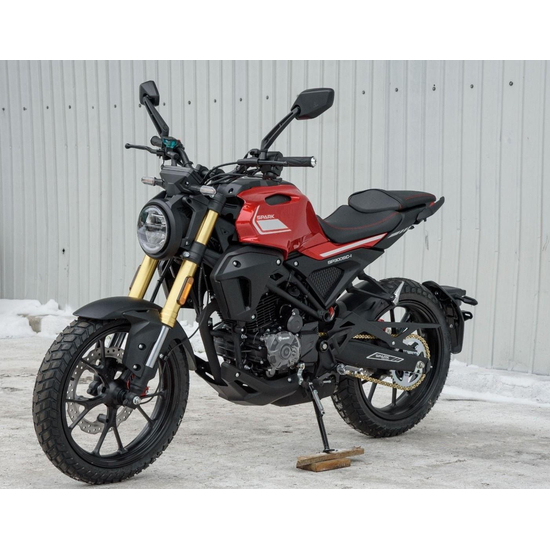 Мотоцикл Spark SP300SC-1 Красный, фото , изображение 4
