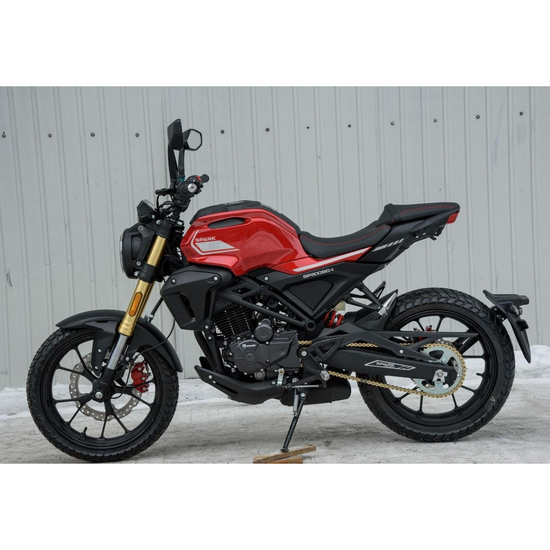 Мотоцикл Spark SP300SC-1 Красный, фото , изображение 5