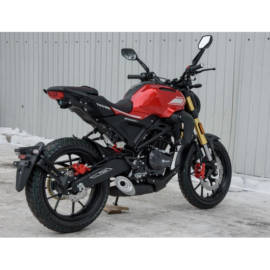 Мотоцикл Spark SP300SC-1 Красный, фото , изображение 6
