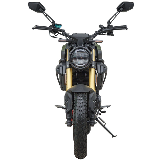 Мотоцикл Spark SP300SC-1 Зелений, image , зображення 7