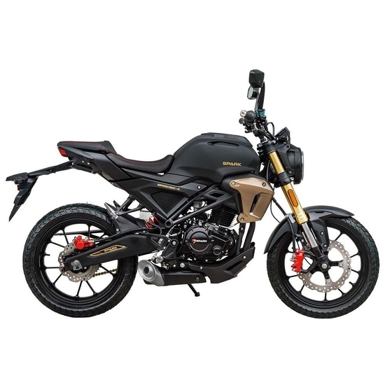 Мотоцикл Spark SP250SC-4 Золотой, фото , изображение 2