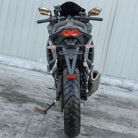 Мотоцикл Spark SP300RS-1 Чорний, image , зображення 8