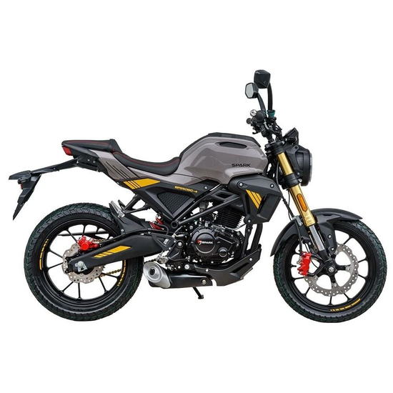Мотоцикл Spark SP250SC-4 Серый, фото 