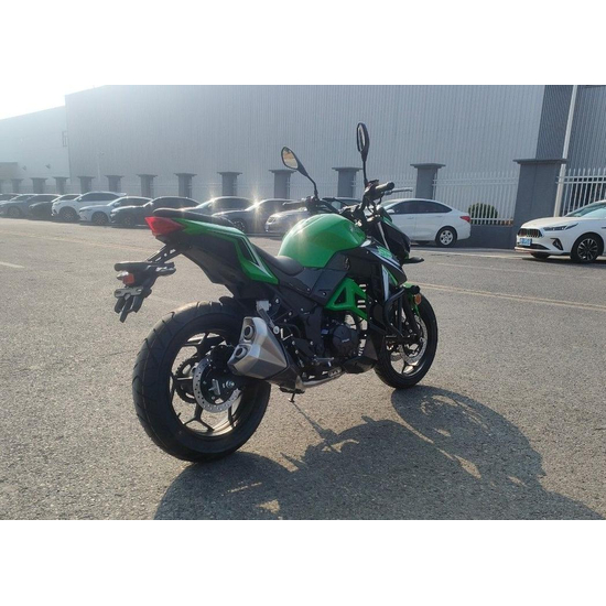 Мотоцикл Spark SP200R-41 Зелений, image , зображення 6