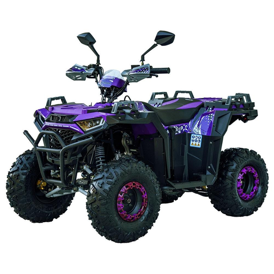 Квадроцикл Spark SP125-11 Фиолетовый, фото , изображение 2