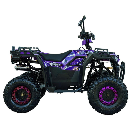 Квадроцикл Spark SP125-11 Фиолетовый, фото , изображение 3