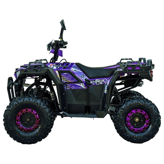 Квадроцикл Spark SP125-11 Фиолетовый, фото , изображение 4