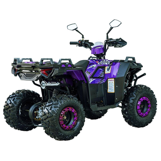 Квадроцикл Spark SP125-11 Фиолетовый, фото , изображение 5