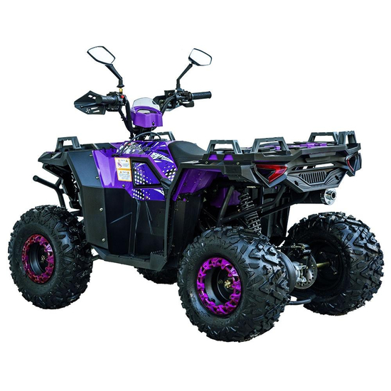 Квадроцикл Spark SP125-11 Фиолетовый, фото , изображение 6
