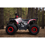 Квадроцикл Comman TaoTao Scrambler 125cc Графити, Цвет: Графити, фото , изображение 7