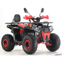 Квадроцикл Forte ATV125G Красный, фото , изображение 3