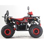 Квадроцикл Forte ATV125G Красный, фото , изображение 4
