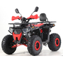 Квадроцикл Forte ATV125G Красный, фото 