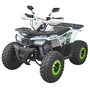 Детский / подростковый квадроцикл Spark SP 125-7 Белый, фото , изображение 2