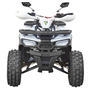 Детский / подростковый квадроцикл Spark SP 125-7 Белый, фото , изображение 7