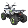 Детский / подростковый квадроцикл Spark SP 125-7 Белый, фото , изображение 6