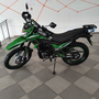 Ендурік Spark SP250P-1 Зелений, image , зображення 5