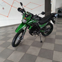 Ендурік Spark SP250P-1 Зелений, image , зображення 4
