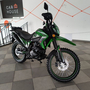 Ендурік Spark SP250P-1 Зелений, image , зображення 6