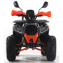 Forte ATV125G Помаранчевий, image , зображення 6