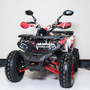 Comman TaoTao Scrambler 150cc Графіті, image , зображення 12