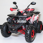 Comman TaoTao Scrambler 150cc Графіті, image , зображення 7